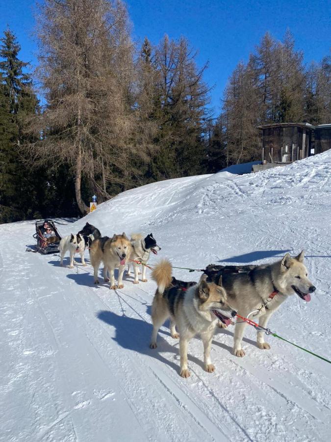 Plagne Bellecote - 5 Pers - Vue Pistes - Acces Piscine Chauffee Apartment La Plagne Ngoại thất bức ảnh